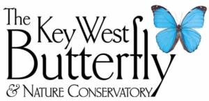Key West Butterfly Conservatory